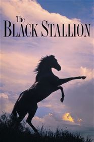 The Black Stallion - My Movies - The Movie & TV Network