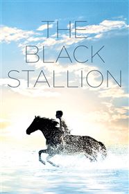 The Black Stallion - My Movies - The Movie & TV Network