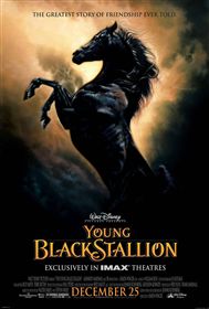 The Black Stallion - My Movies - The Movie & TV Network