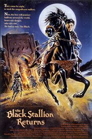 The Black Stallion - My Movies - The Movie & TV Network